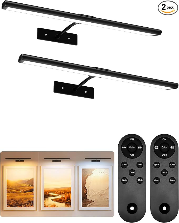 EZVALO Picture Light for Wall, 16'' Black Rechargeable 4800mAh Black Lights Wireless Remote, Dimm... | Amazon (US)