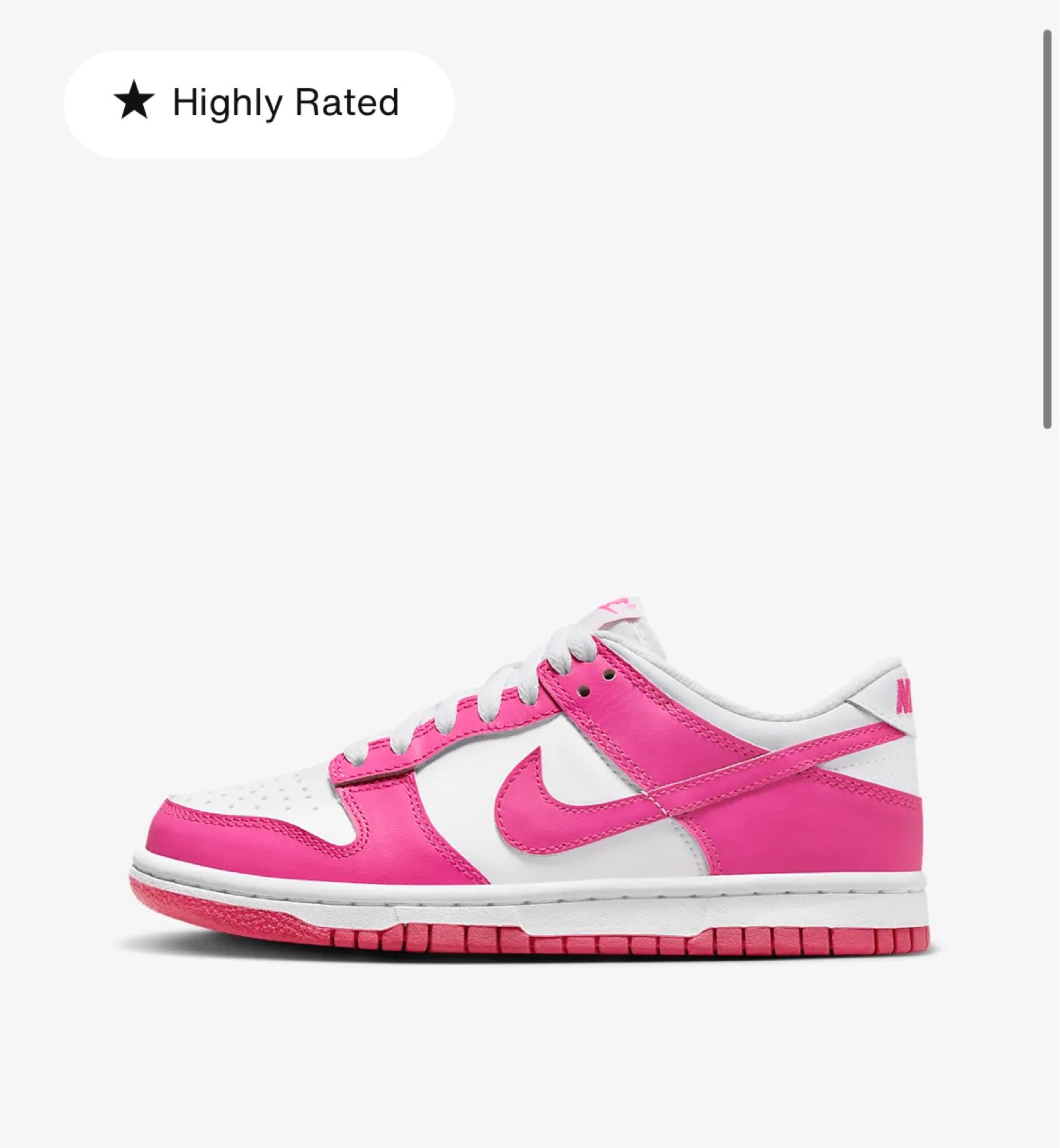 Nike Dunk Low 