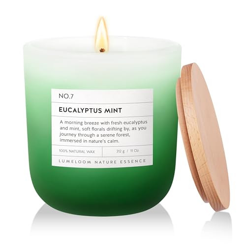 LUMELOOM Eucalyptus & Mint Scented Candle, 11oz Aromatherapy Soy Wax Candles for Home Scented, Long Lasting, Eucalyptus Scent, Green Color, Gift for Women, Men, Sisters, Relaxation & Stress Relief | Amazon (US)