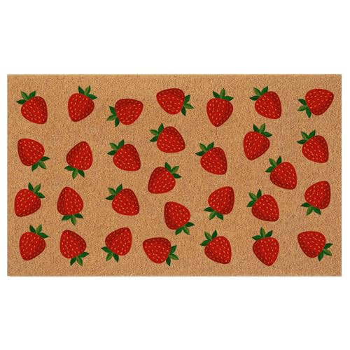 Haukea Cute Strawberry Door Mat Outdoor Aesthetic Welcome Mats for Front Door Cute Door Mat Outside Entrance Non Slip Door Mats for Outside Entry Porch Back Door Home Decor, Strawberry | Amazon (US)