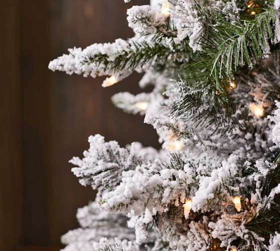 Pre-Lit Flocked Pencil Pine Faux Christmas Trees | Pottery Barn (US)