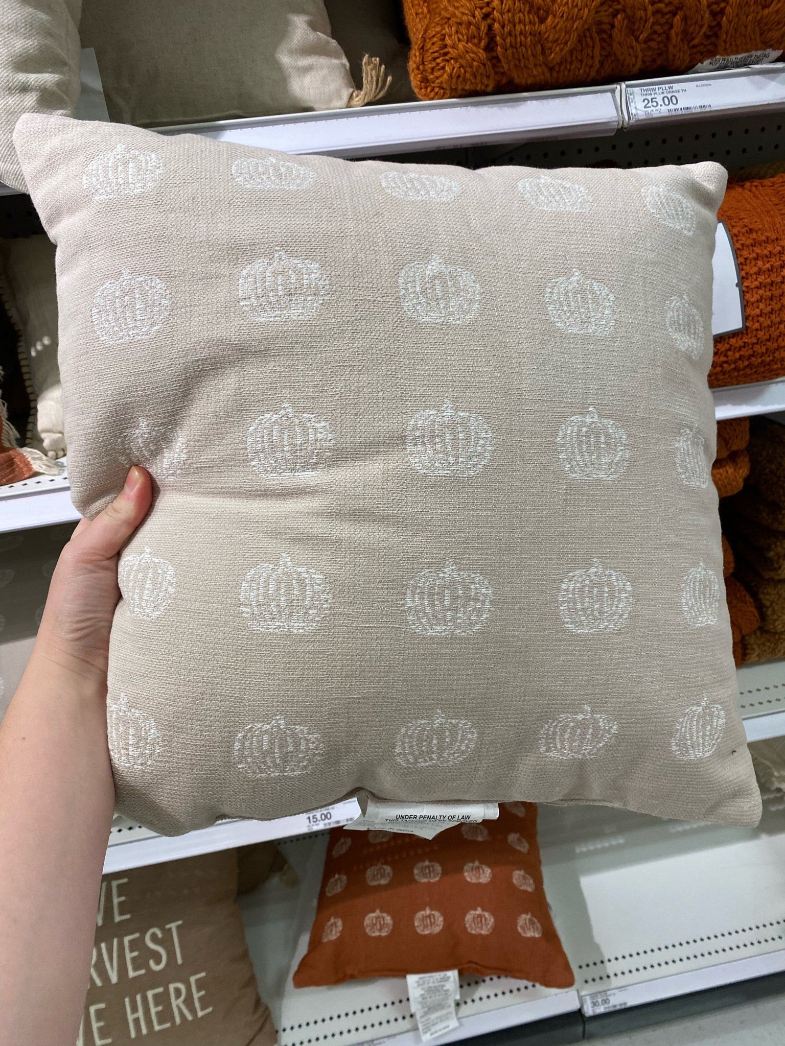 Target fall home decor // throw pillow // living room decor 



#LTKunder50 #LTKunder100 #LTKSeasonal