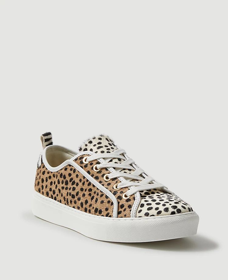 Natalia Spotted Haircalf Sneakers | Ann Taylor (US)