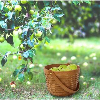 Vintiquewise 6 in. H x 8 in. W x8 in. D Wood Chip Apple Picking Basket Small QI003151 - The Home ... | The Home Depot