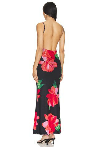 Karley Maxi Dress in Black Floral | Revolve Clothing (Global)