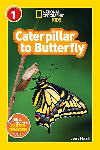 National Geographic Readers: Caterpillar to Butterfly | Amazon (US)