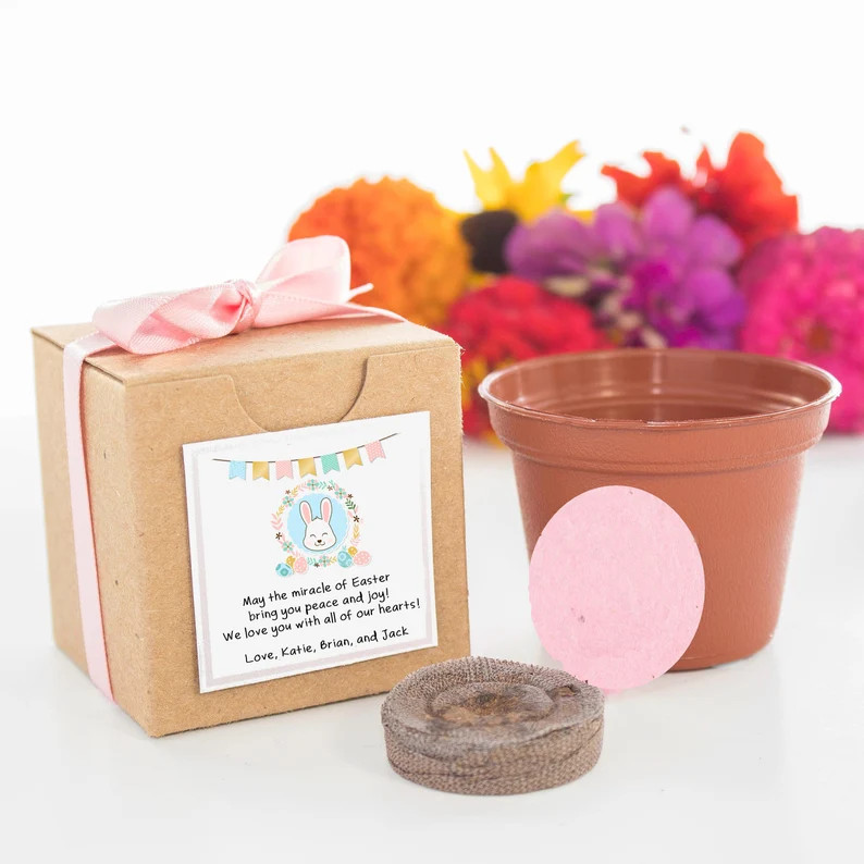 Seed Kit Easter Gifts for Kids & Adults, Boys and Girls, Fun, Educational Garden Gift, Easter Bas... | Etsy (US)