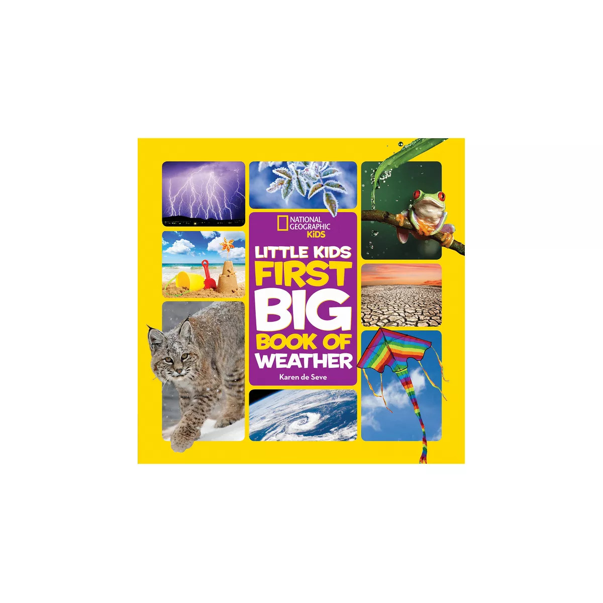 National Geographic Little Kids First Big Book of Weather - (National Geographic Little Kids Firs... | Target