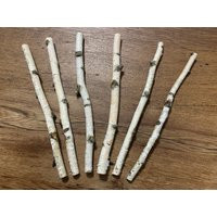 White Birch Branches, 6 Count, 12 Inches in Length, 1/2 - 3/4 Inch Diameters | Etsy (US)