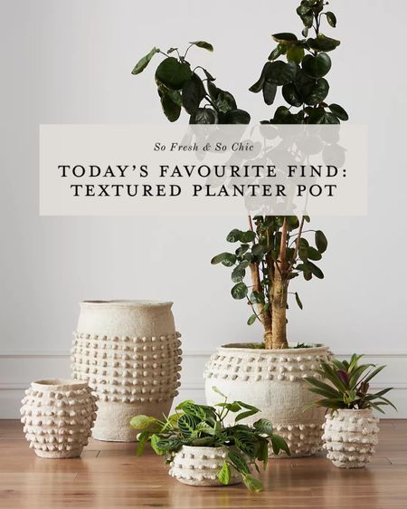 Beautiful textured plant pots!
-
Mothers Day gift - ivory planter - black texture planter pot - stylish plant pots - Anthropologie - gift for mil - gift for gardener - minimalist home decor - patio decor 

#LTKGiftGuide #LTKunder100 #LTKhome