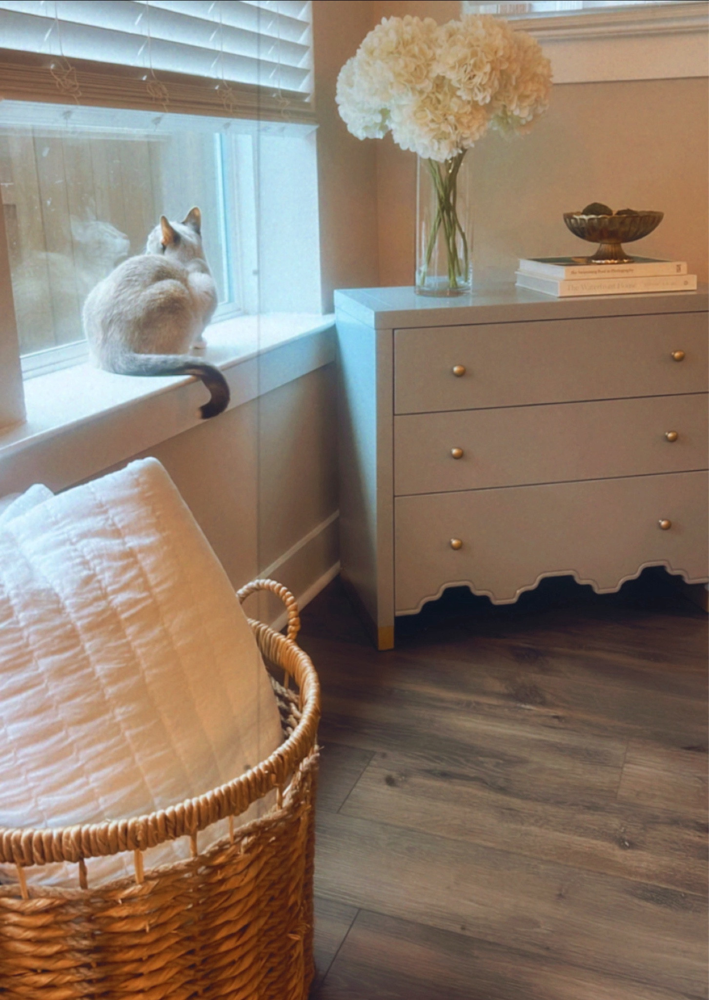Simple cozy corner✨

#LTKfindsunder100 #LTKfindsunder50 #LTKhome
