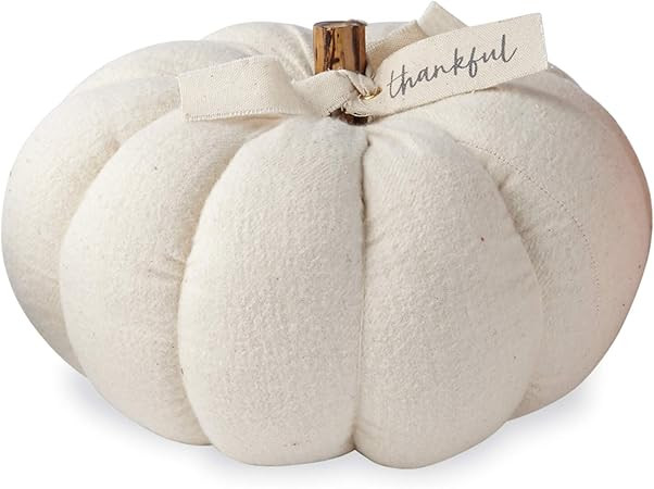 Mud Pie Cream MED Cotton Pumpkin | Amazon (US)