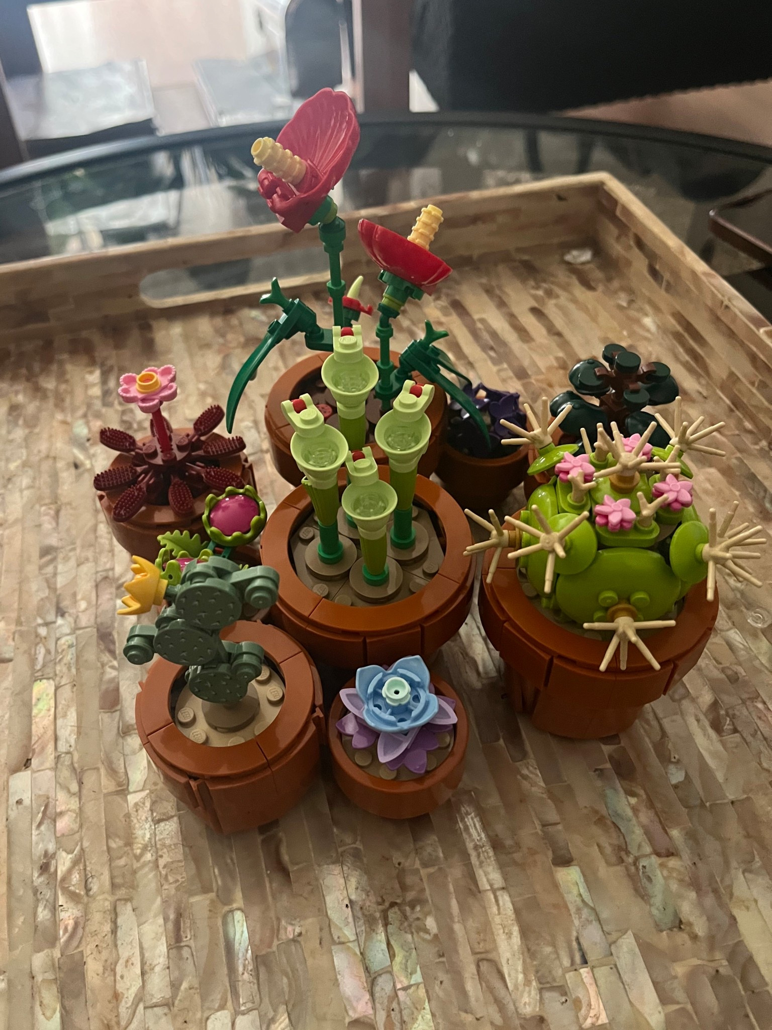 Plant Lego set 


#LTKGiftGuide #LTKFindsUnder100 #LTKFindsUnder50