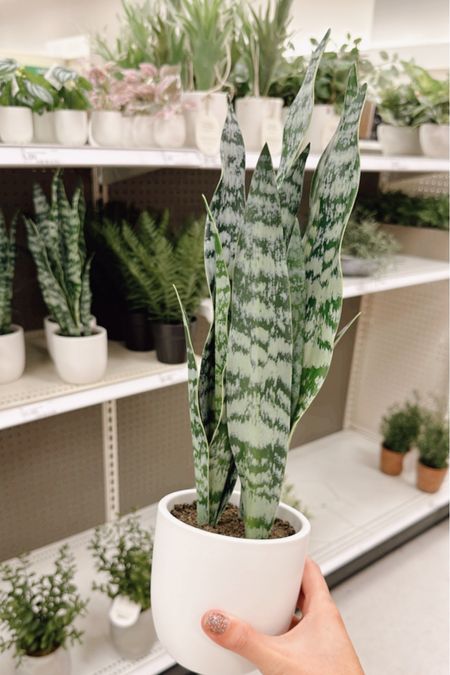 Can’t keep plants alive? Then This faux snake plant is perfect!! It looks so real but no care needed 🌱😂

❤️ Follow me on Instagram @TargetFamilyFinds 

#LTKSeasonal #LTKhome #LTKMostLoved