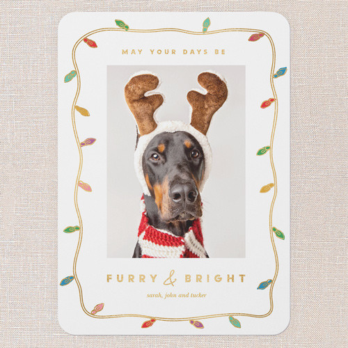 Festive Lighthearted Holiday Card | Shutterfly