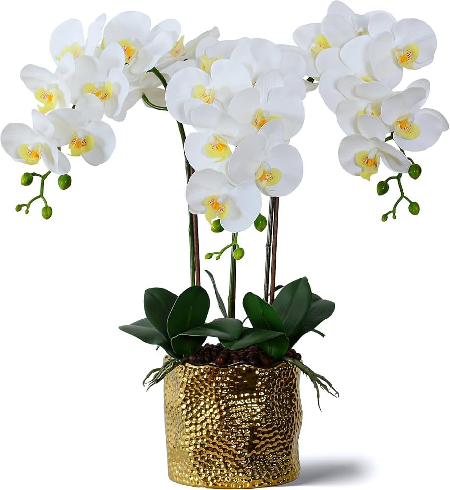 Ziwon Artificial Orchid Flowers Potted in Ceramic Pot, White Faux Phalaenopsis Orchids for Table ... | Amazon (US)