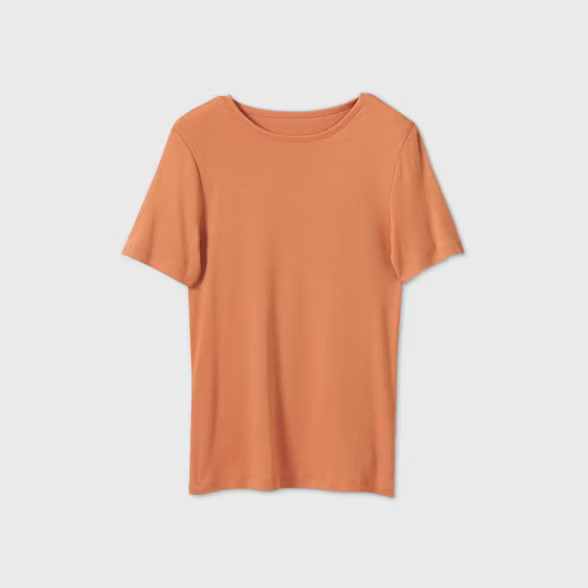 Women's Short Sleeve Fitted T-Shirt - A New Day™ | Target