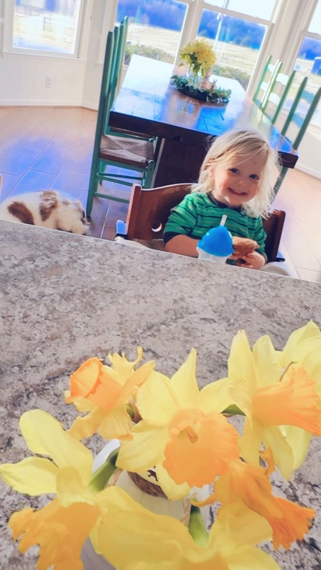 A muffin kind of morning here on the farm 🚜🌳🧺😋