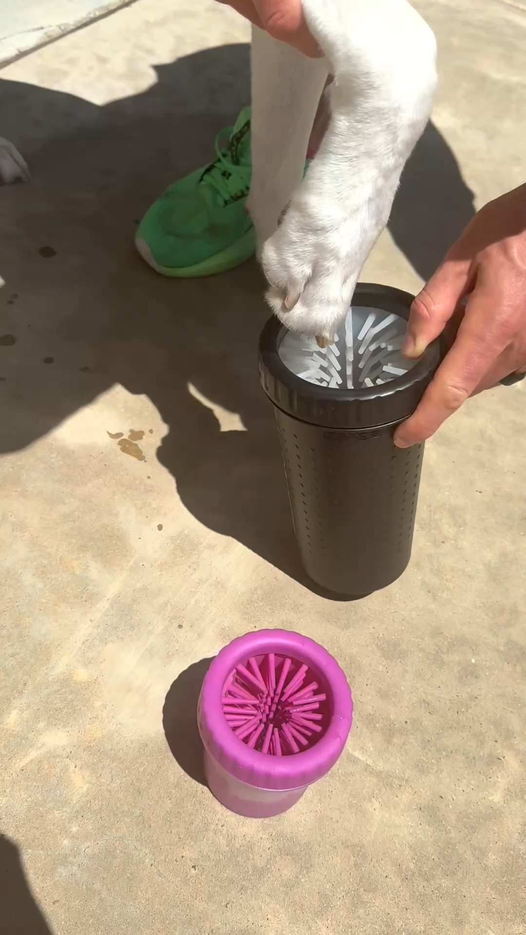 If you have a dog, these paw cleaners are a game changer. We use them to keep their paws clean after walks and come in a few sizes 

#LTKHome