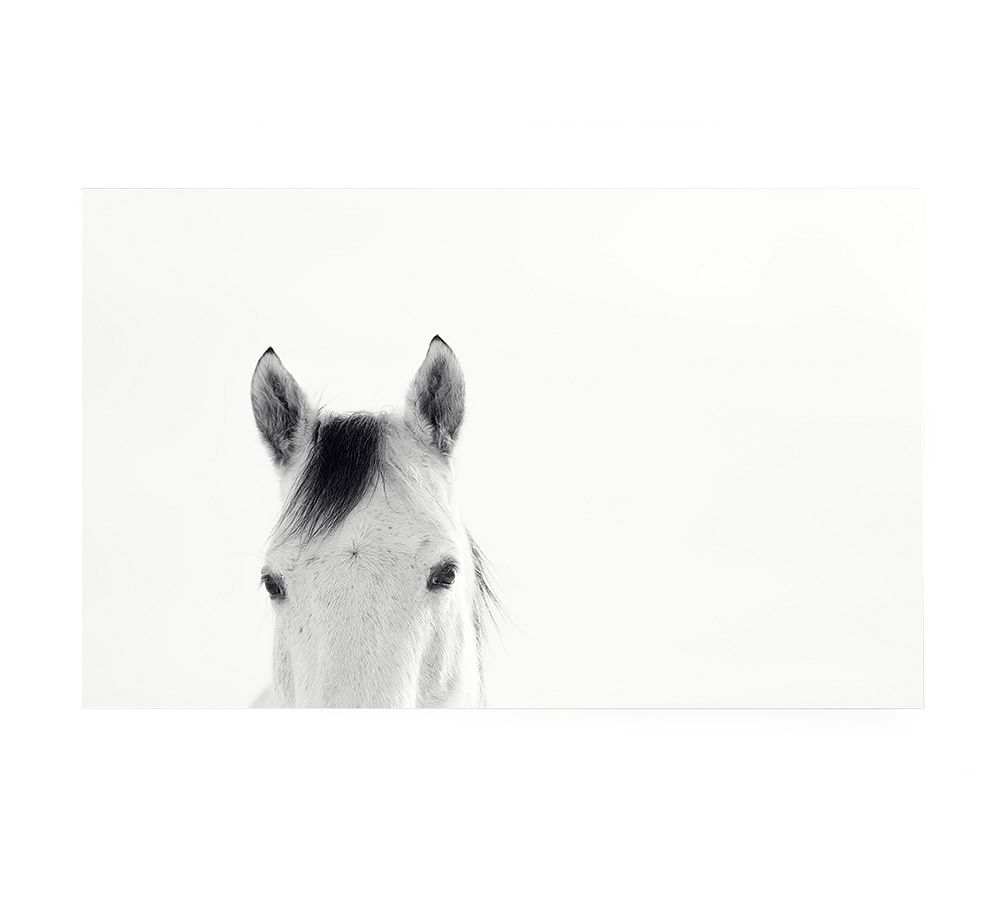 Modern White Horses by Jennifer Meyers | Pottery Barn (US)