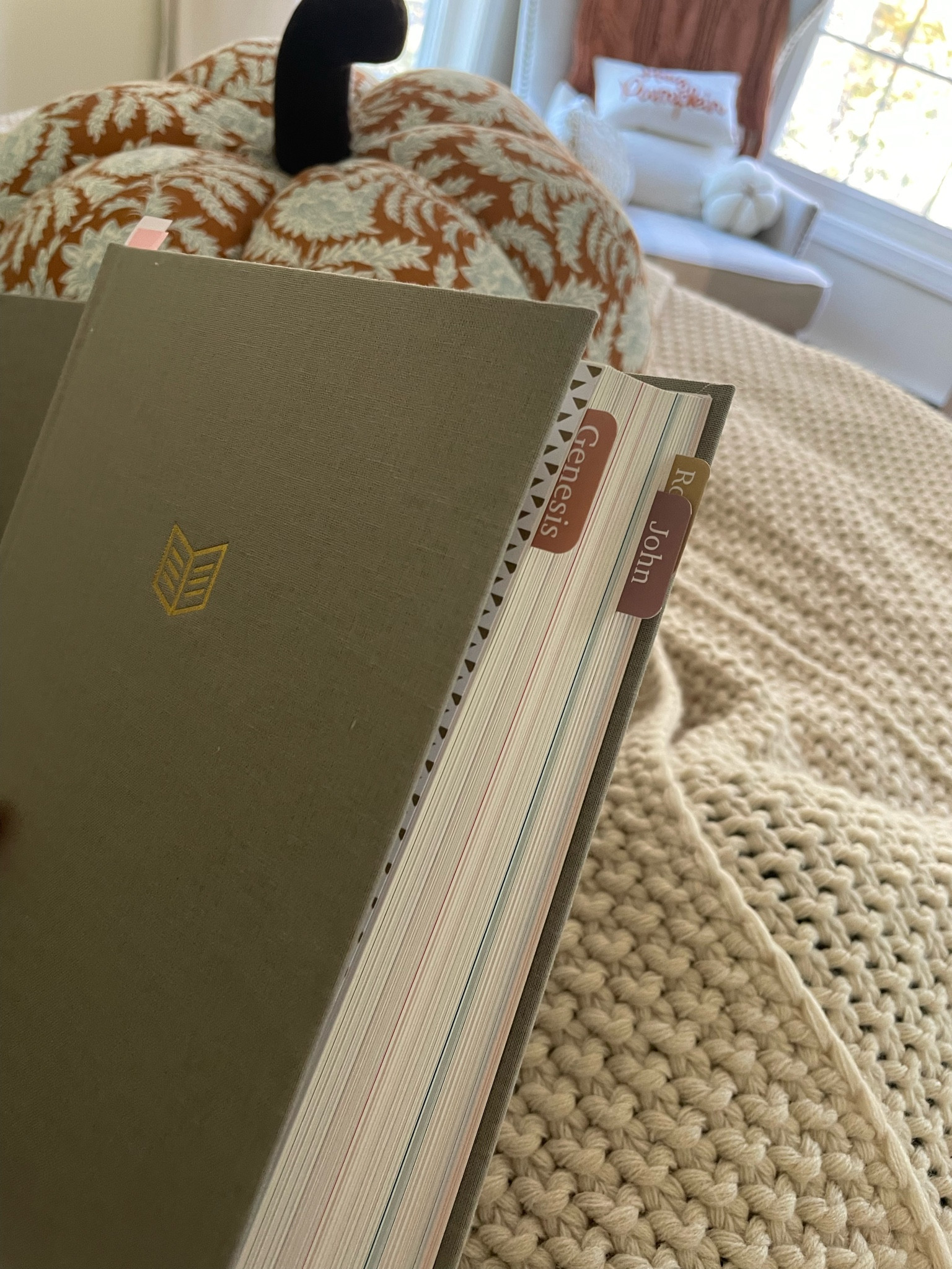 Love these Bible tabs 

#LTKHome #LTKGiftGuide #LTKFindsUnder50