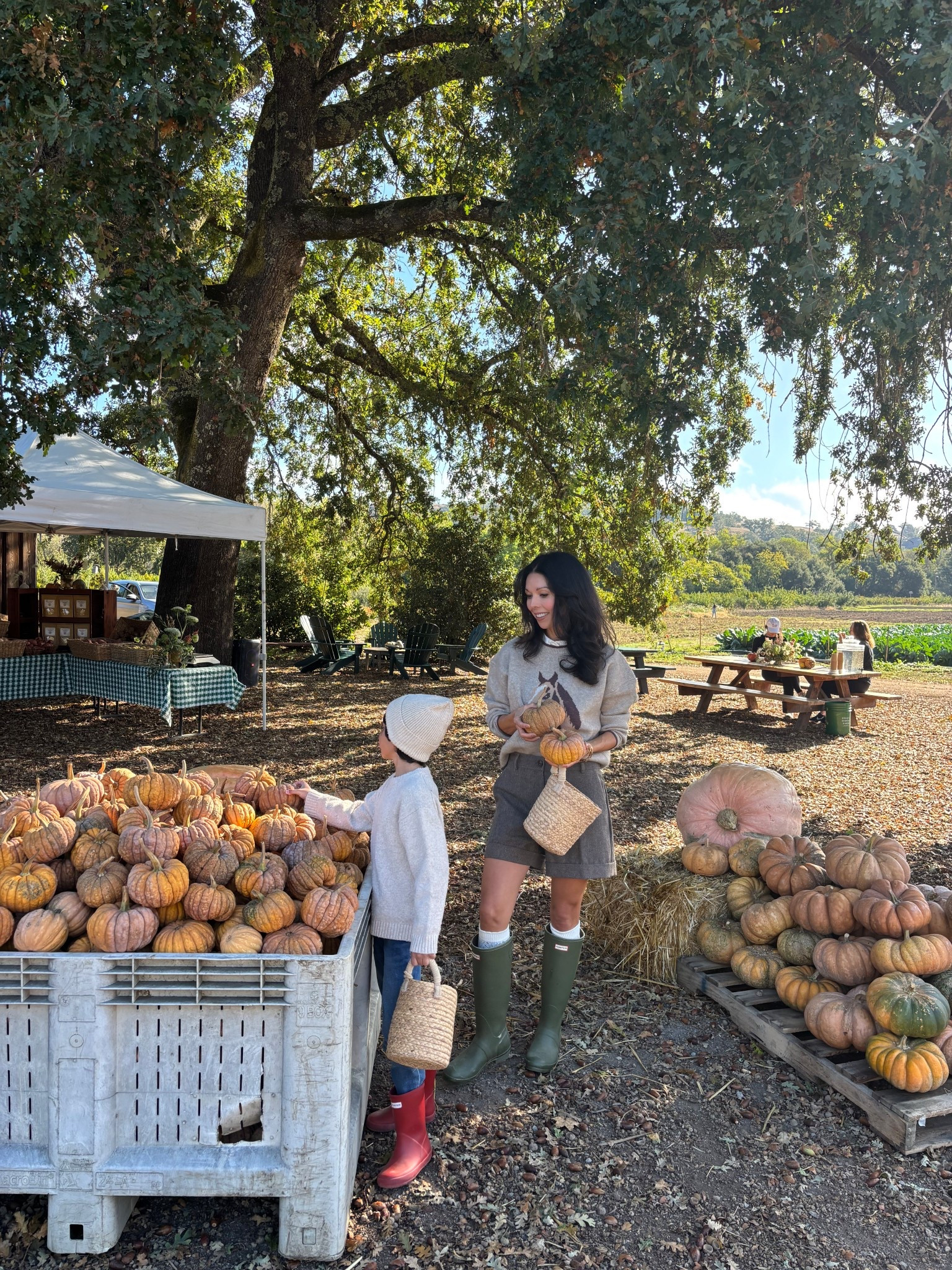 Fall outing outfit 🤎🍂
Wool blend pleated shorts. Linking some that are very similar to mine. 
Horse sweater. Linking a couple that that are similar to mine. 
Olive green Hunter boots with cozy pointelle knee socks. 

Boys red hunter rain boots. 
Boys cozy crew neck sweater. 

Fall outfit
How to wear shorts in autumn 
Equestrian look


#LTKFamily #LTKOver40 #LTKSaleAlert