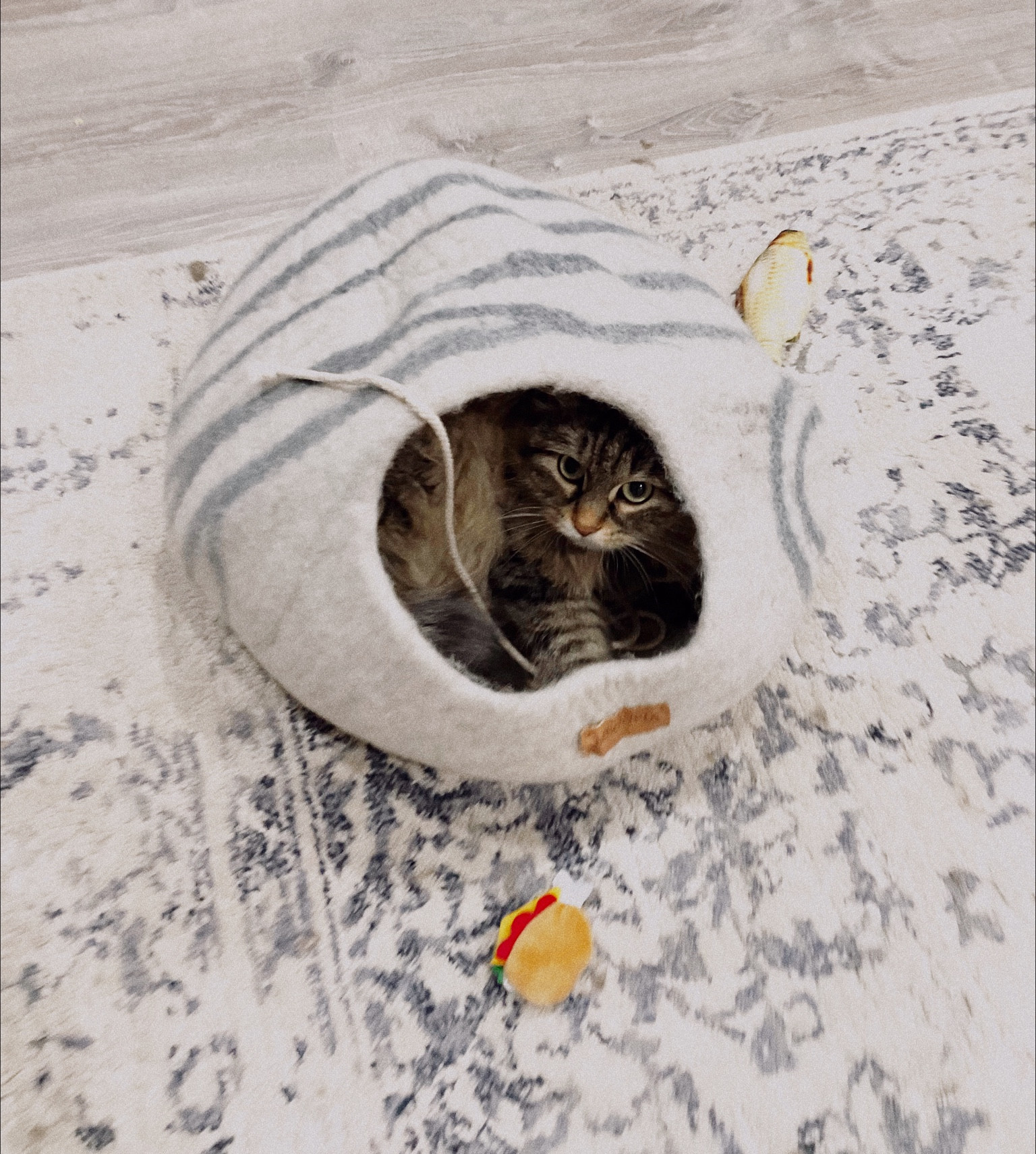 Cute wool cat cave my kitty loves!! 💙 On sale and comes in lots of color options! 