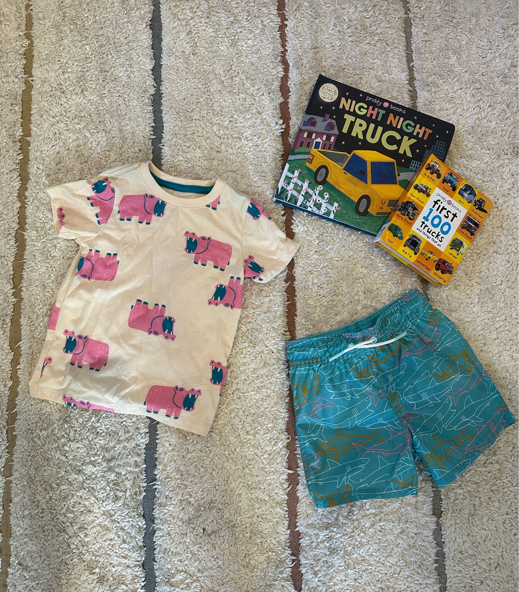 we’re all about trucks, animals and balls these days over at our house. cute summer toddler boy clothes at Target right now!!

#LTKSeasonal #LTKkids #LTKfamily