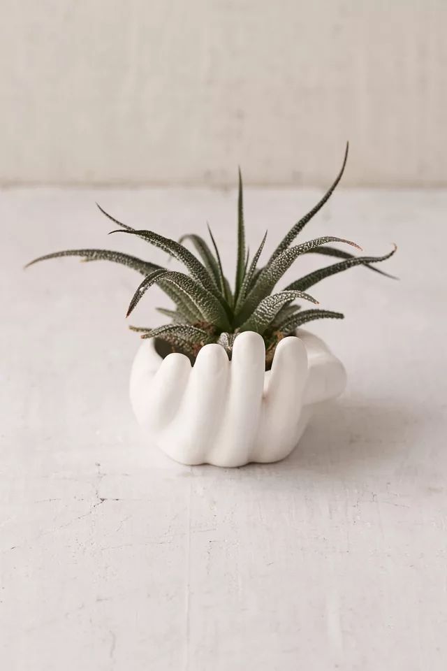 Hand Dish | Urban Outfitters (US and RoW)