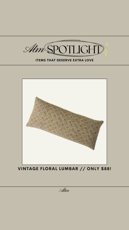 ATM Spotlight - Magnolia Vintage Floral Lumbar // only $88! Perfect for Spring + Summer!

lumbar pillow, vintage look, pillow cover, pillow, bedding, textured lumbar pillow, vintage finds, deal of the day, affordable bedding

#LTKhome #LTKfindsunder100