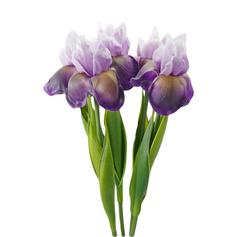 Angel Isabella Pack of 4 Stems-18in Iris Artificial Flowers for Decoration in Wedding Flowers Bou... | Amazon (US)