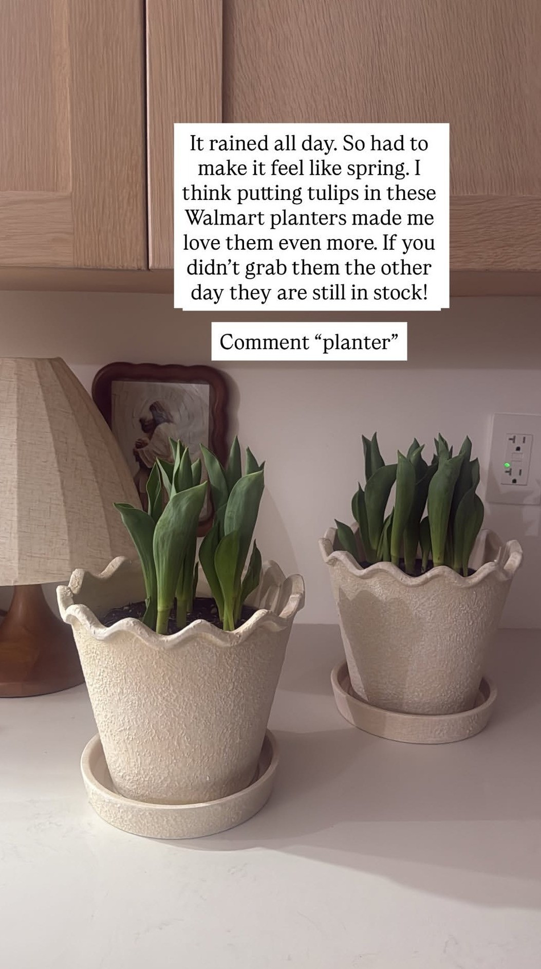 I was smitten with these planters, those ruffled edges?? But then I put tulips in them for a dose of Spring and it made me love them even more!!!  

 #LTKSeasonal #LTKHome