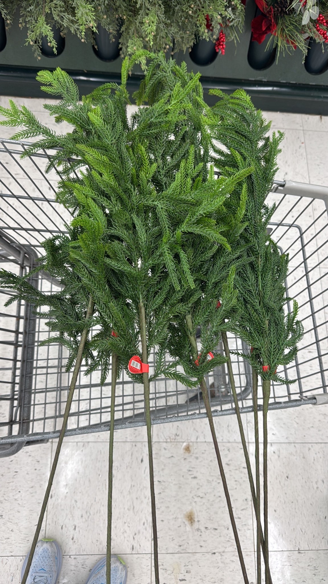 Norfolk greenery stems from
Norfolk Stems
Christmas stems
These are the most realistic stems and they are at hobby lobby now! $4 stems with 50% off holiday! You’ll have to visit your local store! Others linked 

#LTKHome #LTKSeasonal #LTKSaleAlert