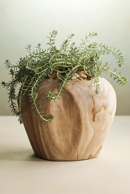 Teak Root Shoulder Planter | Anthropologie (US)