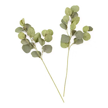 new!Set of 2 Linden Street 24" Eucalyptus Dollar Vase Filler | JCPenney