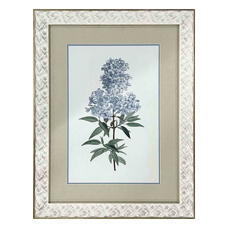 Found & Fable Glass Framed Floral Print Wall Art, 14x18 | At Home