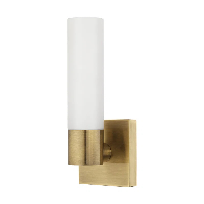 Kneeland Steel Armed Sconce | Wayfair North America