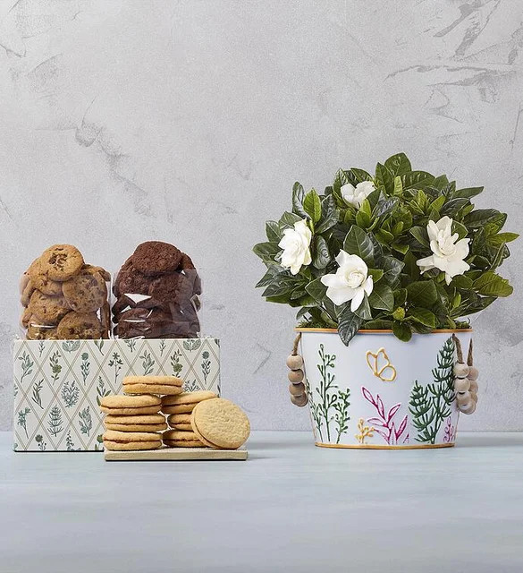 Gardenia with Cookies | Harry & David