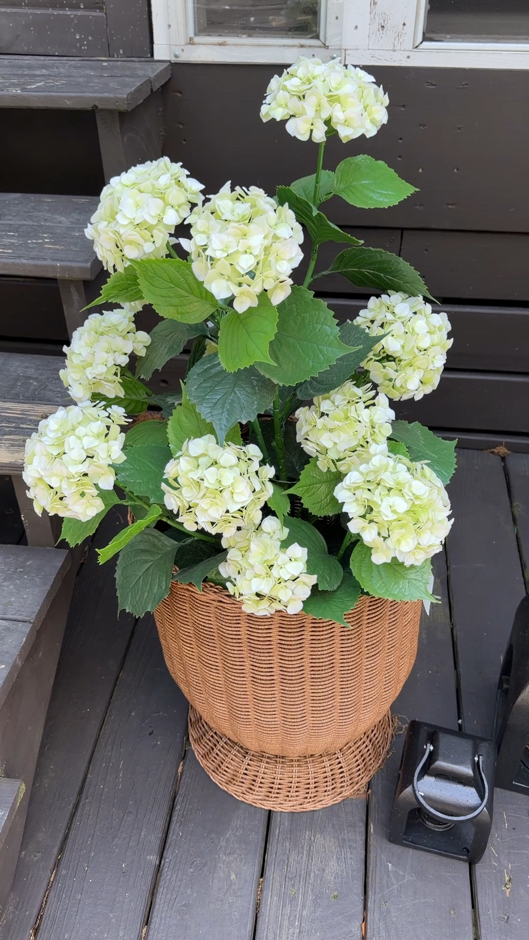 The most realistic faux plant I’ve ever bought! The quality is unmatched and they have held up fantastic this last 2 years! Perfect if you can’t keep plants alive but still want a beautiful styled porch or deck or outside living space. The planter is from Walmart and a major PB look for less!

#LTKSaleAlert #LTKHome #LTKSeasonal