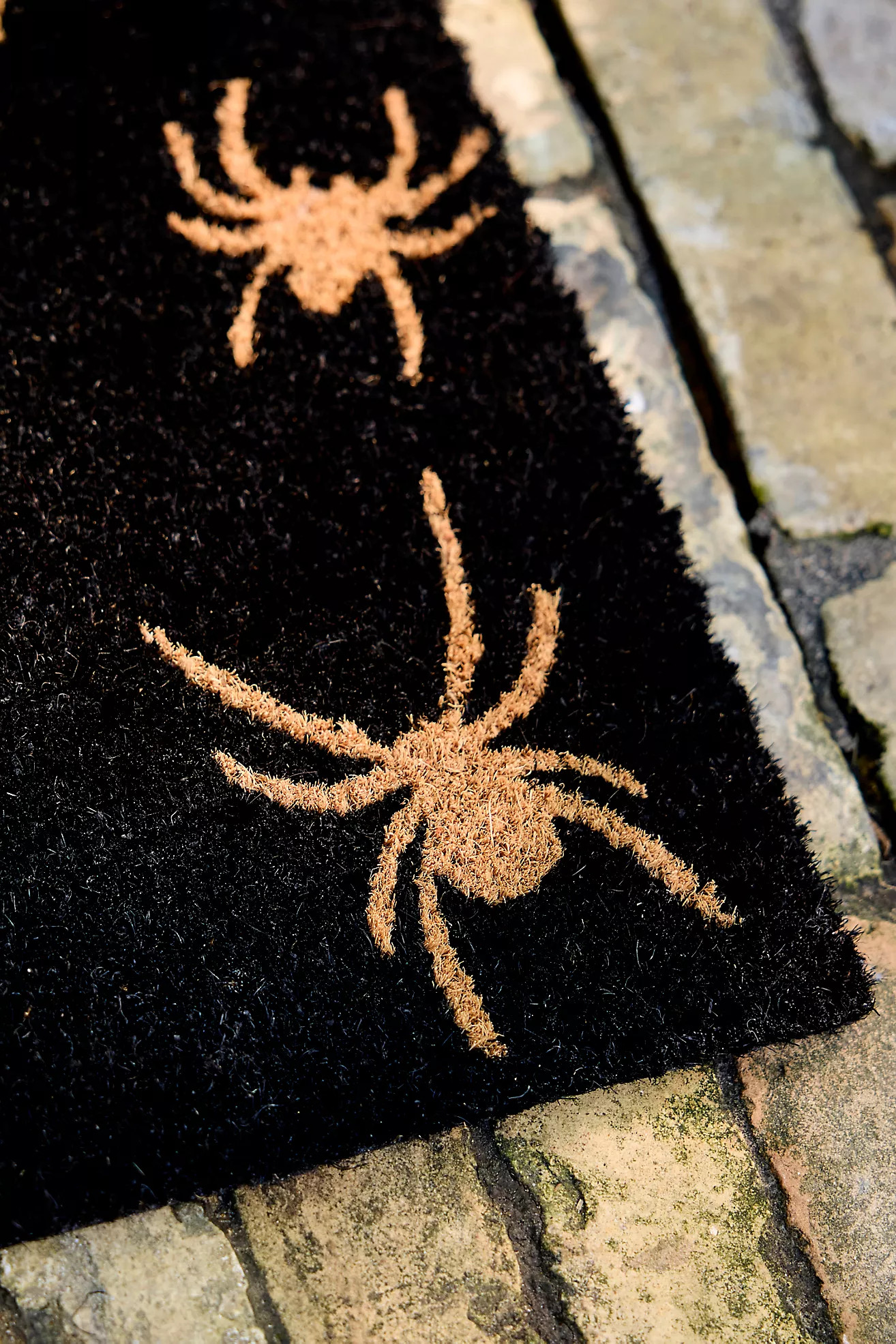 Spooky Spiders Coir Doormat | Anthropologie (US)