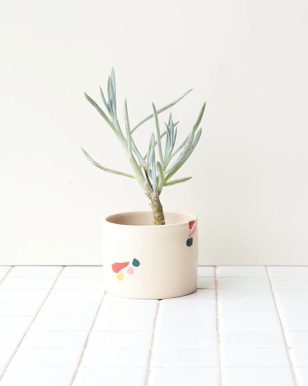 Colorful Ceramic Planter | Modern Pottery Plant Pot | Terrazzo Style Cactus Planter | Indoor Succ... | Etsy (US)