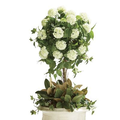 Snowball Hydrangea Topiary | Frontgate