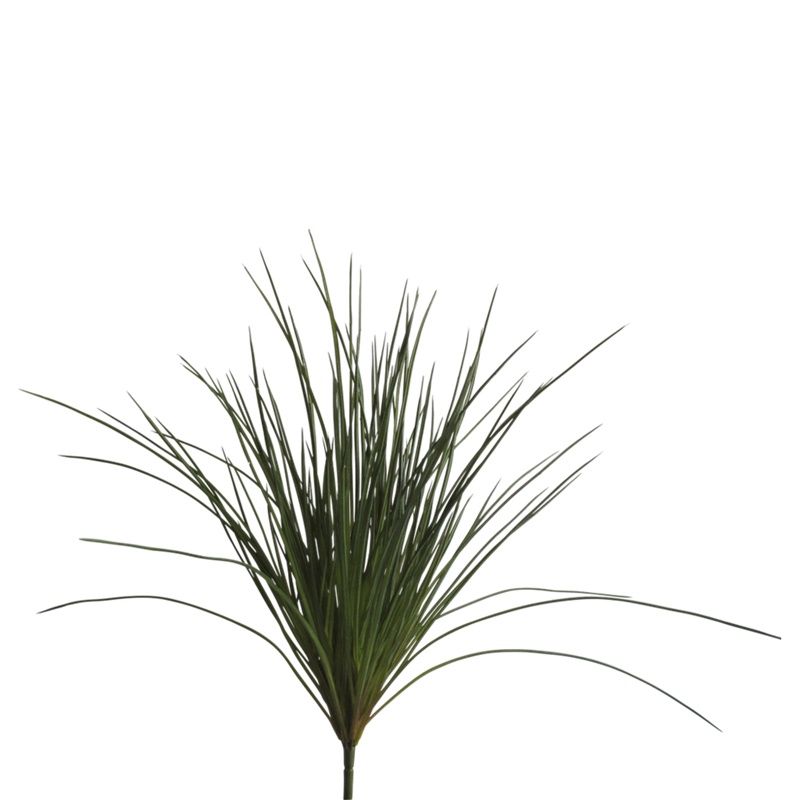Abigail Ahern/EDITION Artificial Wild grass loose stem | Debenhams UK