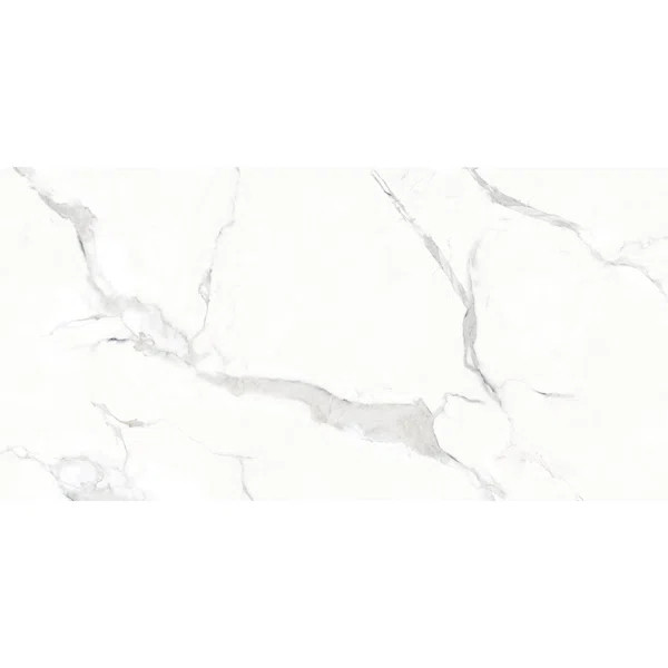 Carrara White 24" x 48" Polished Wall and Floor Tile | Wayfair North America
