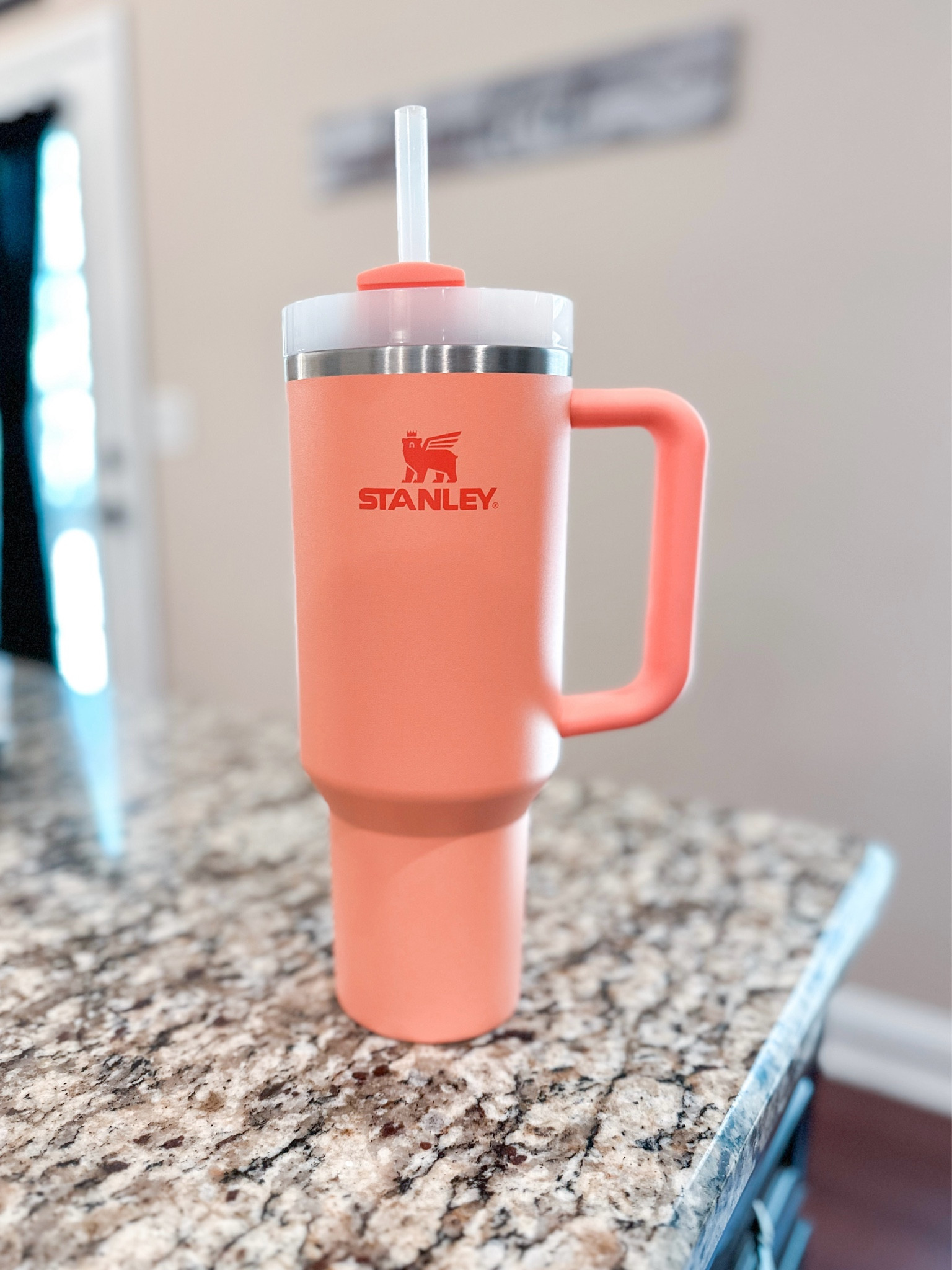 New nectarine 40oz Stanley!! Obsessed with this color! 

#LTKhome #LTKGiftGuide #LTKSeasonal