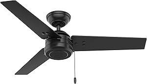 HUNTER 50260 Cassius Outdoor Ceiling Fan with Pull Chain, 44", Matte Black Finish | Amazon (US)