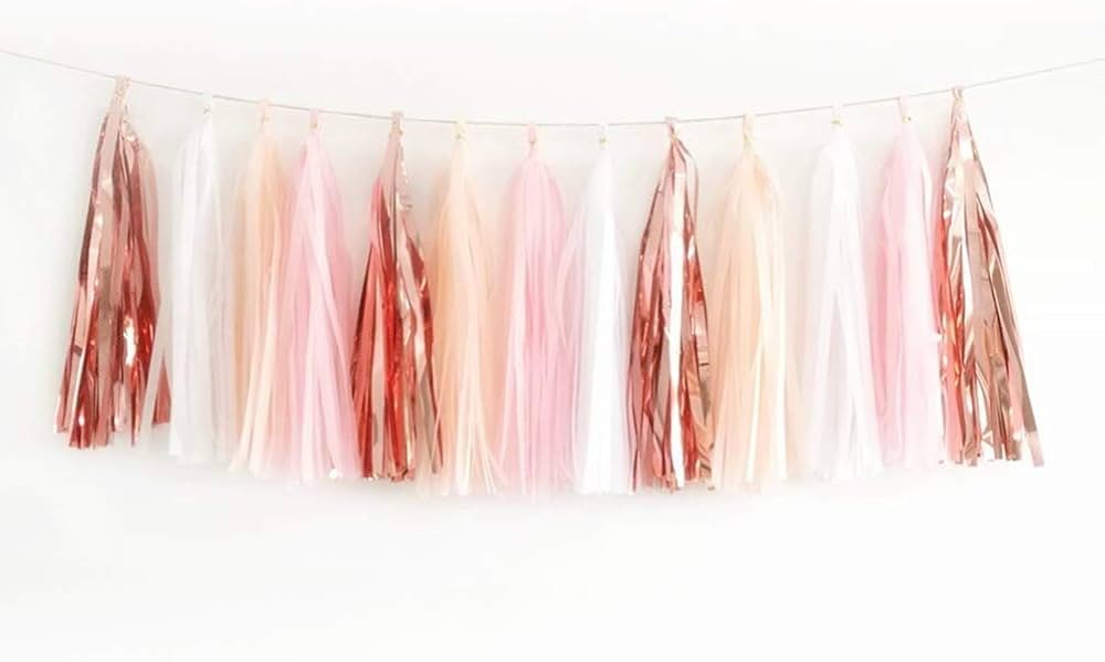40PCS Shiny Tassel Garland Tissue Paper Tassel Banner,Table Decor,Tassels Party Decor Supplies fo... | Amazon (US)