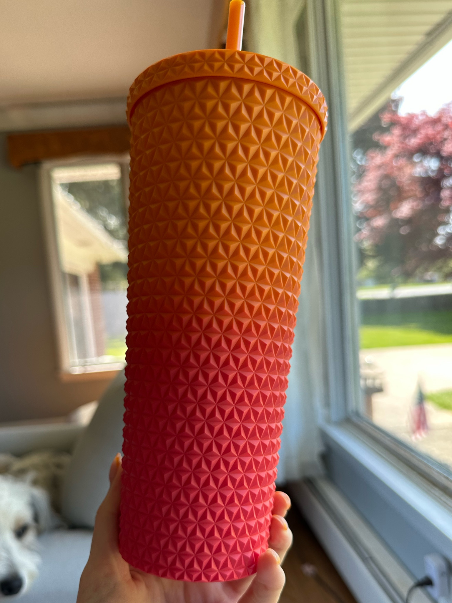 Walmart/ tumbler/ mainstay/ cup/ summer/ colorful/ cute/ travel/ beach/ pool/ drink/ walmart/ affordable/ pebble/ ice cube/ water pitcher 

#LTKSeasonal #LTKunder50 #LTKhome