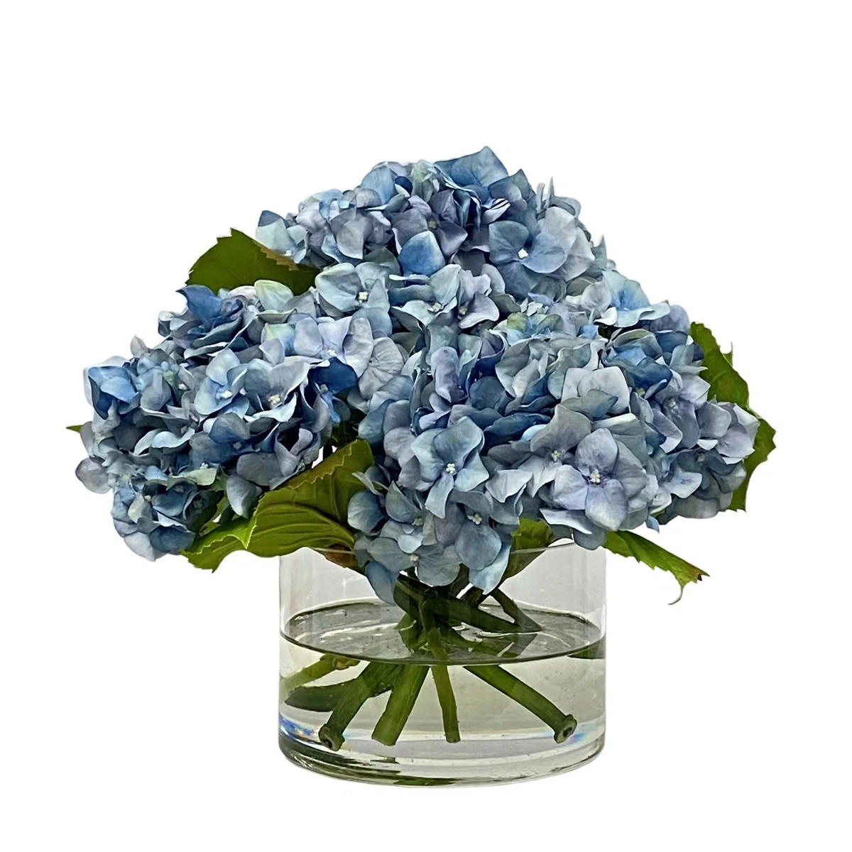 HYDRANGEA IN CYLINDER | Wayfair North America