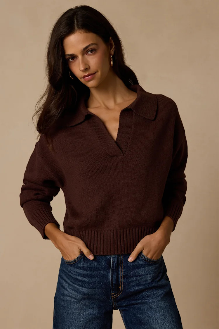 Cozy Forecast Dark Brown Collared Pullover Sweater | Lulus